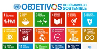 voluntariado_objetivos_de_desarrollo_sostenible_agenda_2030_ods_onu_organizacion_de_las_naciones_unidas