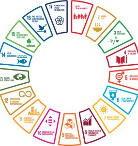 Alinear estrategias de negocio con los 17 ODS de la ONU