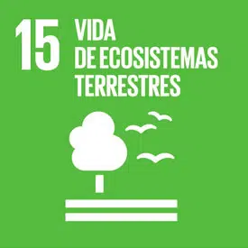 Agenda 2030 y ODS - Objetivo 15: Vida de ecosistemas terrestres.