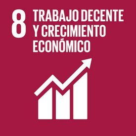 objetivos de desarrollo sostenible objetivo 8 trabajo decente y crecimiento economico