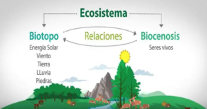 Ecosistema: Qué es, Definición, Tipos, Características y Ejemplos