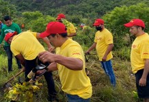 DHL Express recibe reconocimiento de Reforestamos México por su compromiso con la conservación y restauración forestal