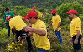 DHL Express recibe reconocimiento de Reforestamos México por su compromiso con la conservación y restauración forestal