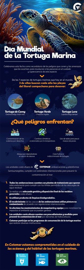 Cotemar contribuye a la conservación de la Tortuga Marina - Infografía