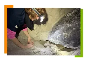 Grupo Cotemar México comprometido con la comunidad biodiversidad