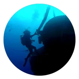 Grupo-Cotemar-navega-los-oceanos-de-la-sustentabilidad-buzo