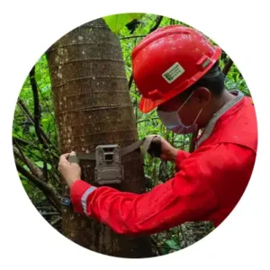 Cotemar sembrando sostenibilidad en el Día Mundial del Árbol medición