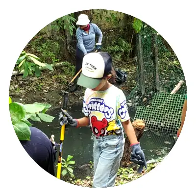 cotemar limpieza y reforestacion