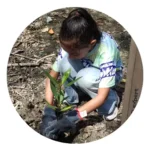 cotemar reforestacion