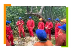 cotemar voluntarios limpieza