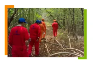 cotemar voluntarios limpieza manglares