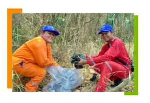 cotemar voluntarios limpieza manglares basura