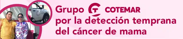 Grupo Cotemar México