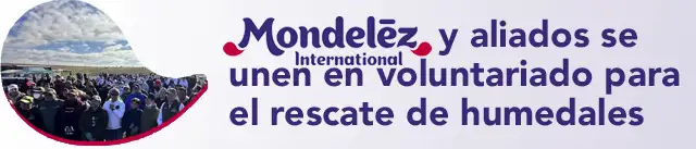 Medelez International