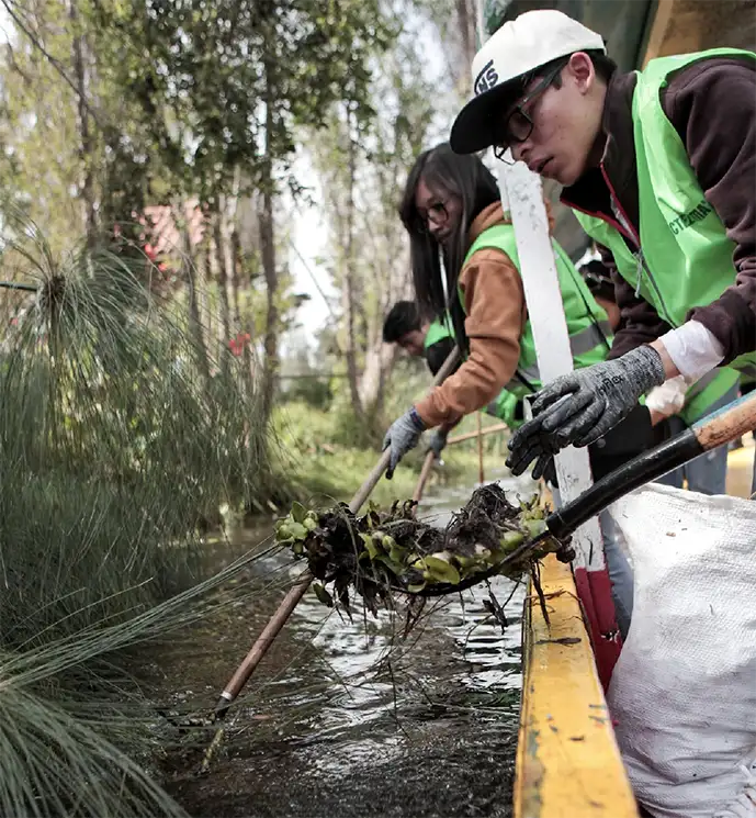 Voluntariado Moctezuma limpieza canales Xochimilco lirio acuático