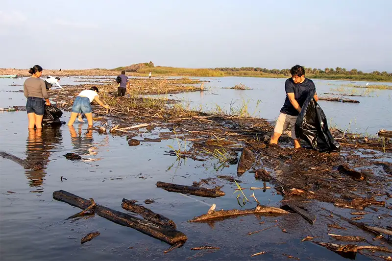 Limpieza de playas Semarnat Tetra Pak Oaxaca Jalisco