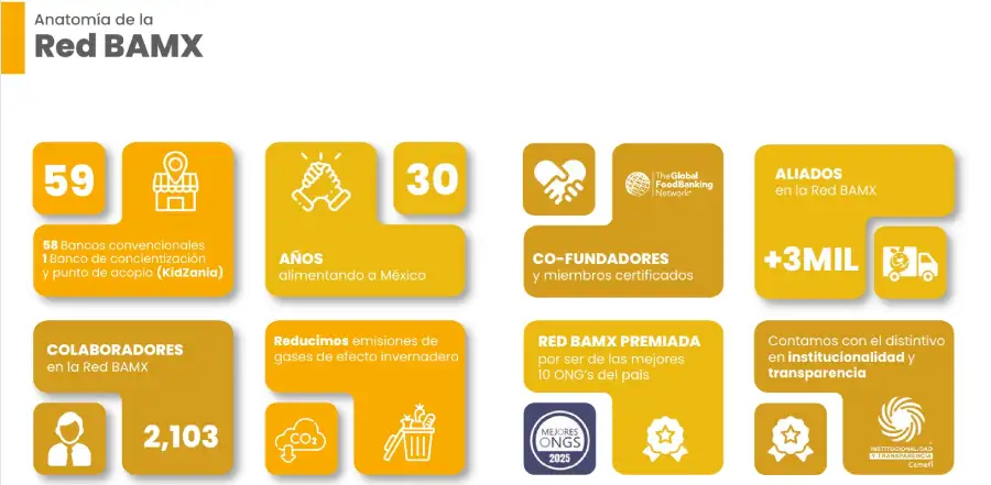 Voluntarios clasificando alimentos rescatados Red BAMX