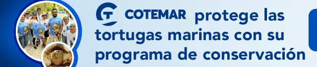 Grupo Cotemar México