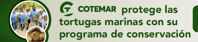 Grupo Cotemar México