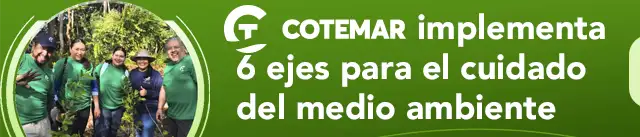 Grupo Cotemar México