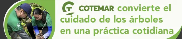 Grupo Cotemar México