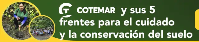 Grupo Cotemar México