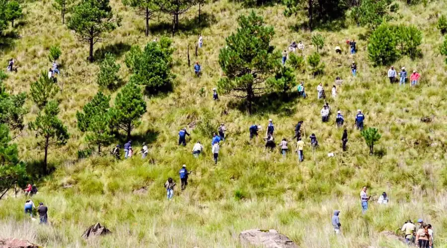 reforestación Moctezuma Morelos medio ambiente